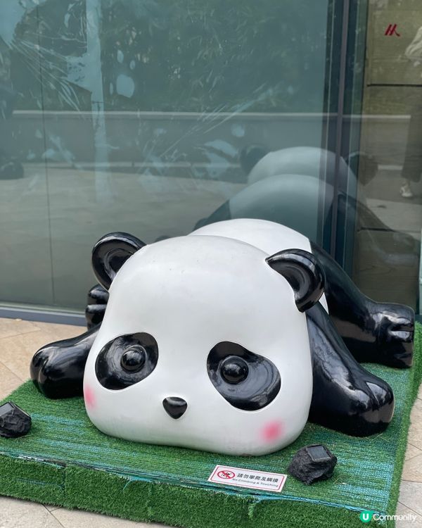 甜品天堂+熊貓海洋🐱🐼 🍜🎉