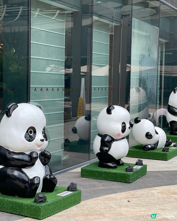 甜品天堂+熊貓海洋🐱🐼 🍜🎉