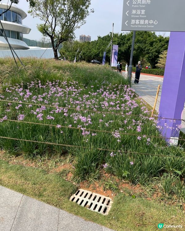 筆架山花園花展