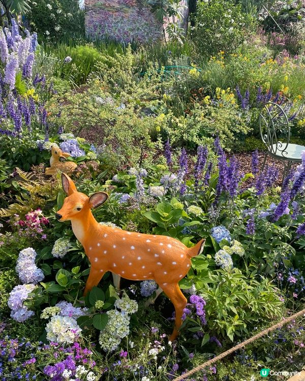 筆架山花園花展