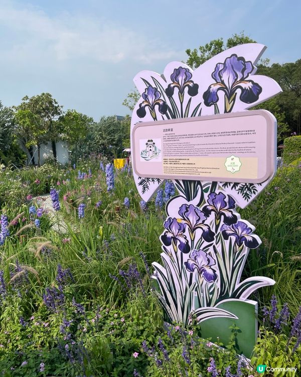 筆架山花園花展