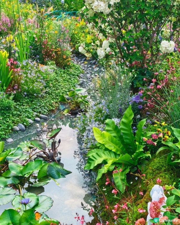 今年大灣區花展靚到爆！🌸🌳