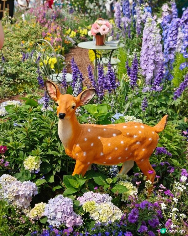 今年大灣區花展靚到爆！🌸🌳