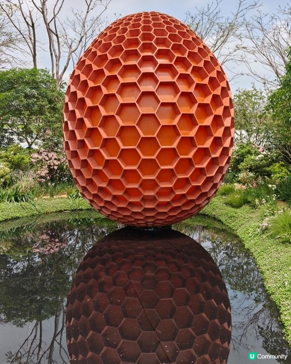 今年大灣區花展靚到爆！🌸🌳