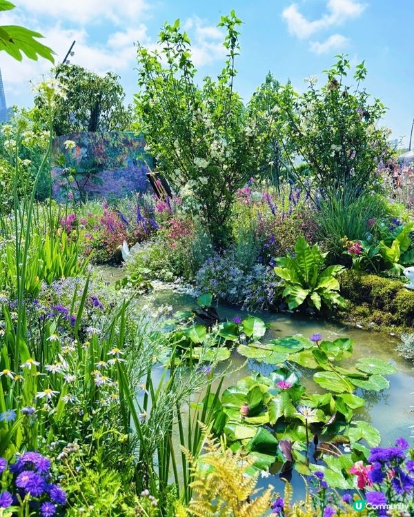 今年大灣區花展靚到爆！🌸🌳