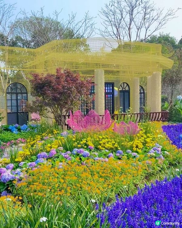 今年大灣區花展靚到爆！🌸🌳