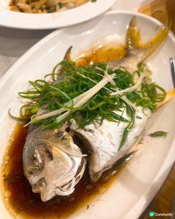 深圳海上世界君粵小廚🔥粵菜盛宴暴擊🥰性價比極高會再去食