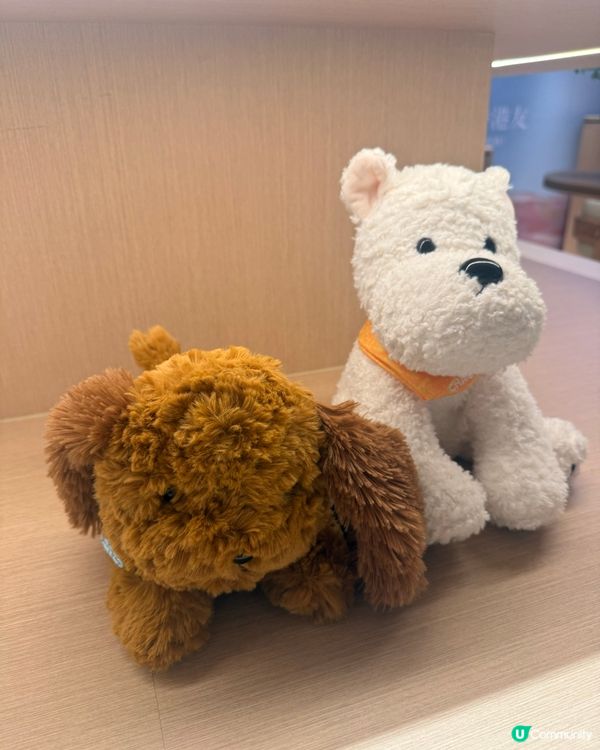 😳 第一次去霸王茶姬唔知點咩好?🧋私心 Top 5 必飲清單