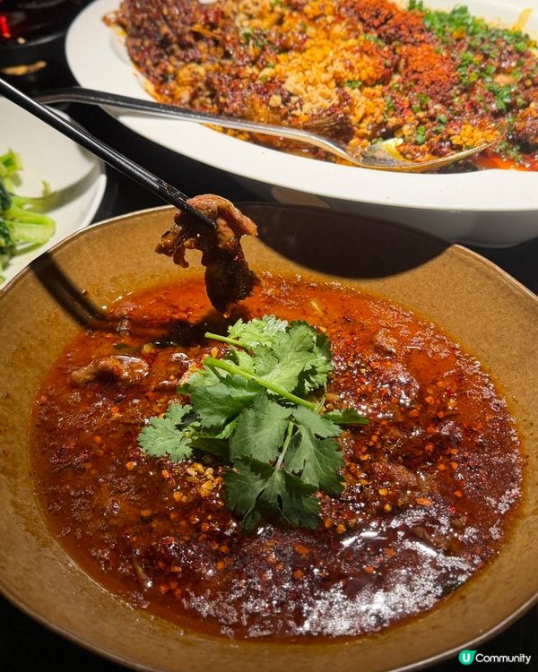 開飯啦！萬象城國宴川菜🐟🤤