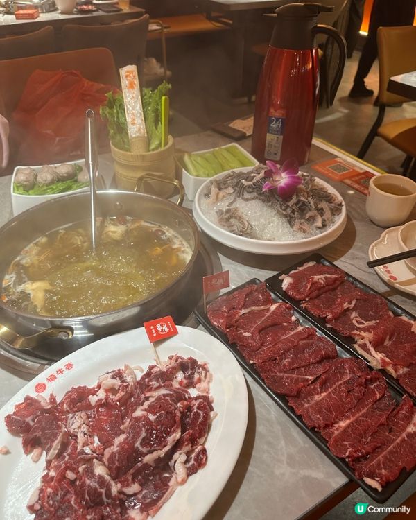 📣深圳必食潮汕牛🐂 ‼️