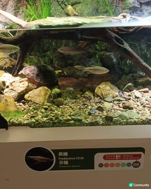 海洋公園探險🐼🐠🌊