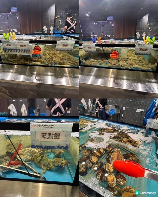 西環新開海鮮火鍋放題