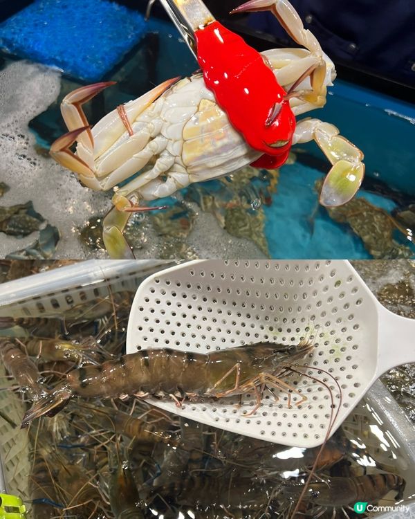 西環新開海鮮火鍋放題