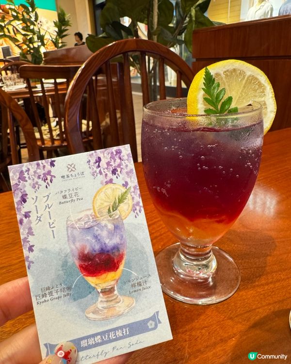 春天與紫藤花的約會之盛宴