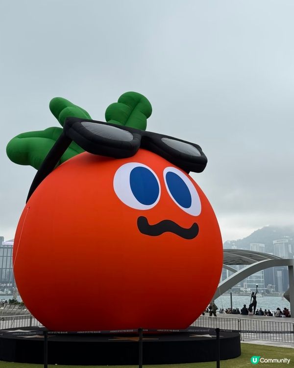五迷快閃維港 卜卜打卡位！🥰