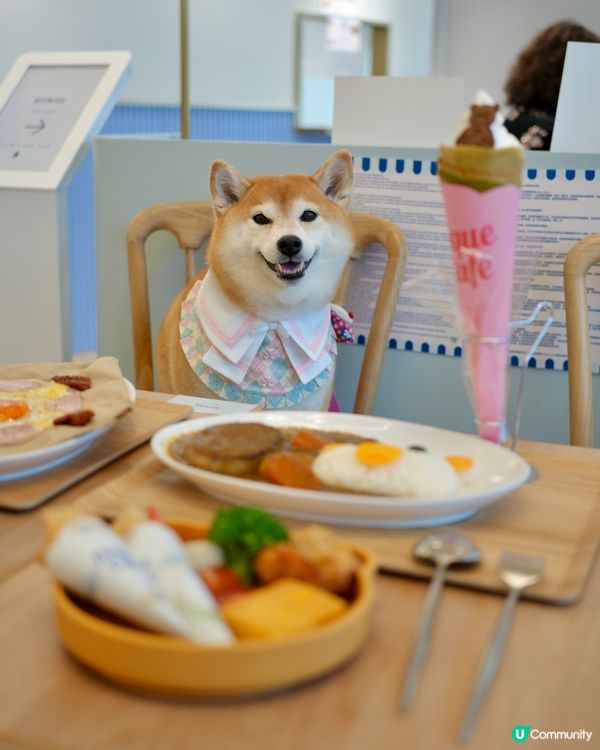 🧸熊仔主題Cafe｜必試咸甜可麗餅🍪