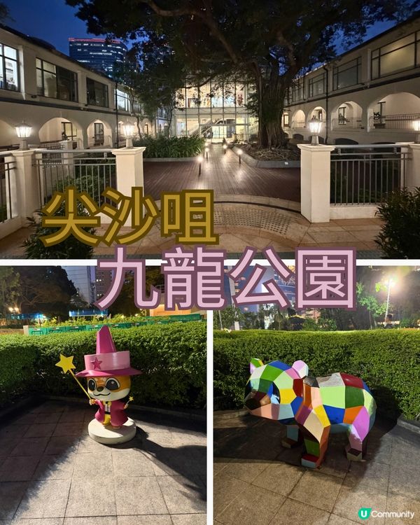 九龍公園：香港親子好去處！🌳👫