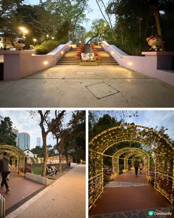 九龍公園：香港親子好去處！🌳👫