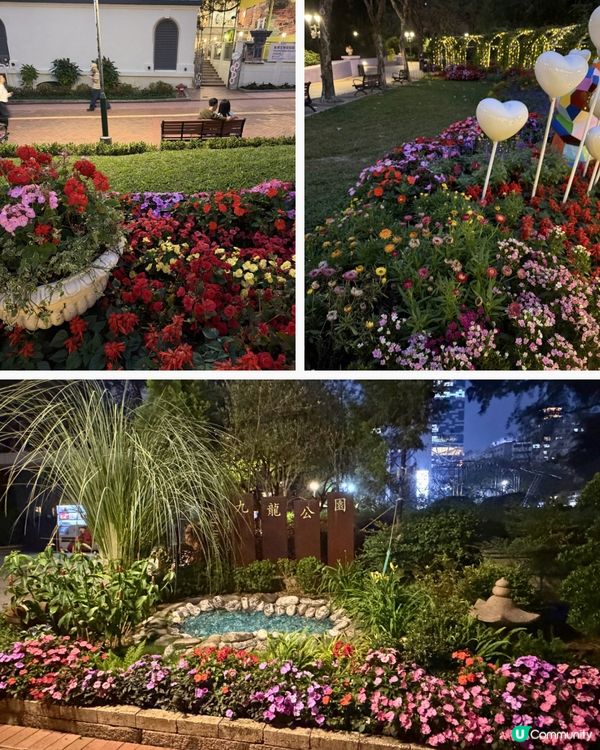 九龍公園：香港親子好去處！🌳👫