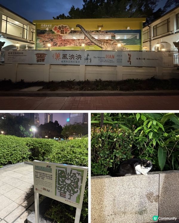 九龍公園：香港親子好去處！🌳👫