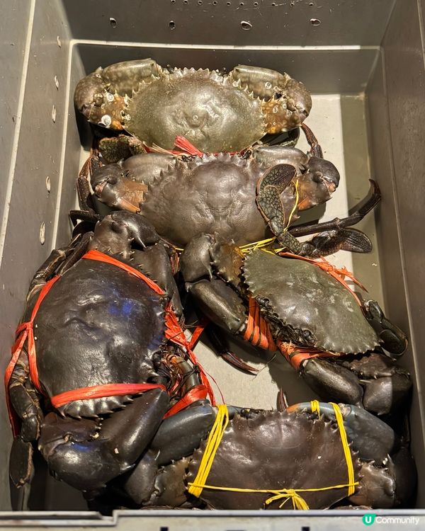 銅鑼灣必食避風塘炒蟹🦀 40年老字號！🔥