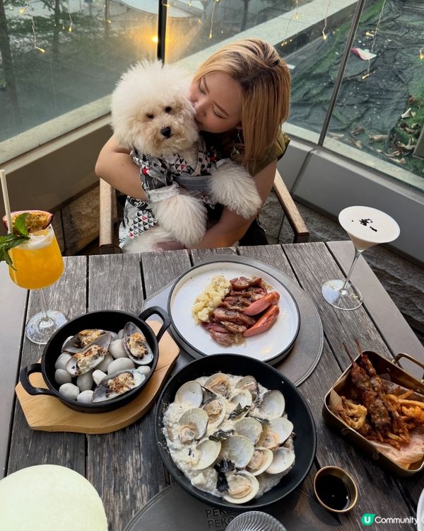 荃灣西終於有寵物友善餐廳❣️