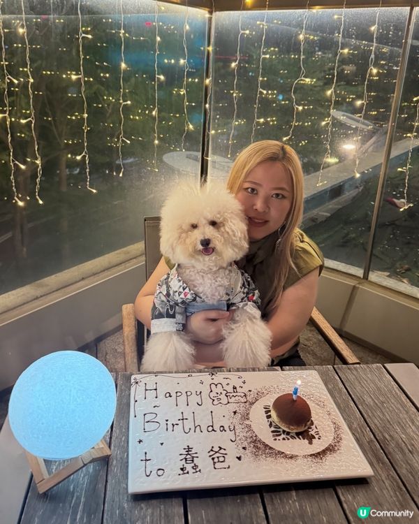 荃灣西終於有寵物友善餐廳❣️