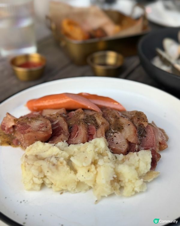 荃灣西終於有寵物友善餐廳❣️