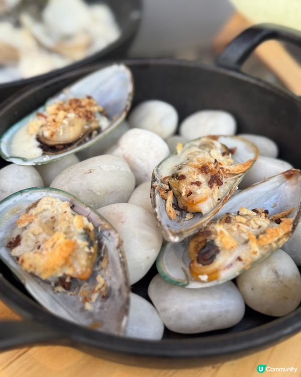 荃灣西終於有寵物友善餐廳❣️