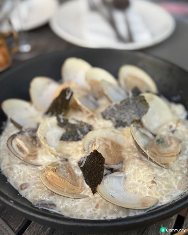 荃灣西終於有寵物友善餐廳❣️