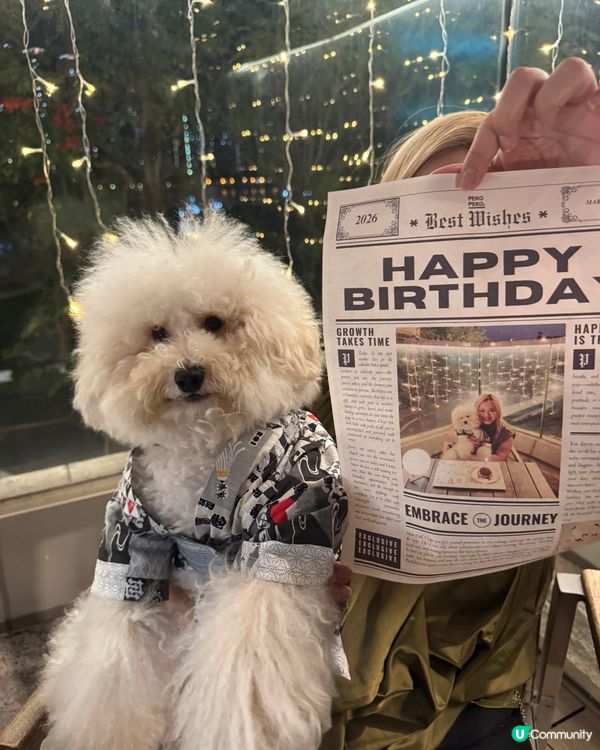 荃灣西終於有寵物友善餐廳❣️