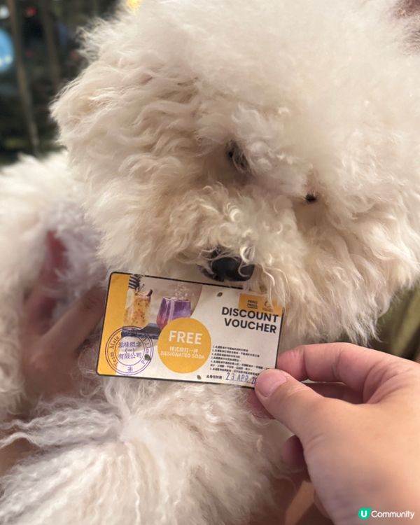 荃灣西終於有寵物友善餐廳❣️