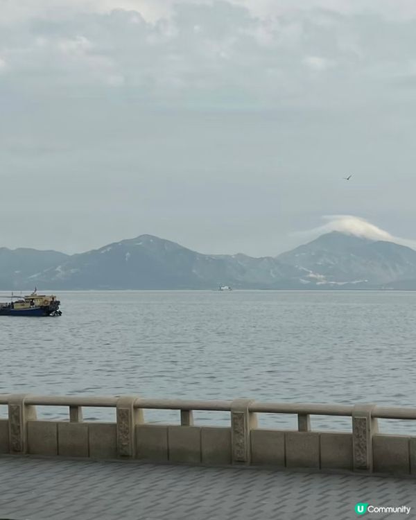山池咖啡🌊飲海風☕️超Chill！