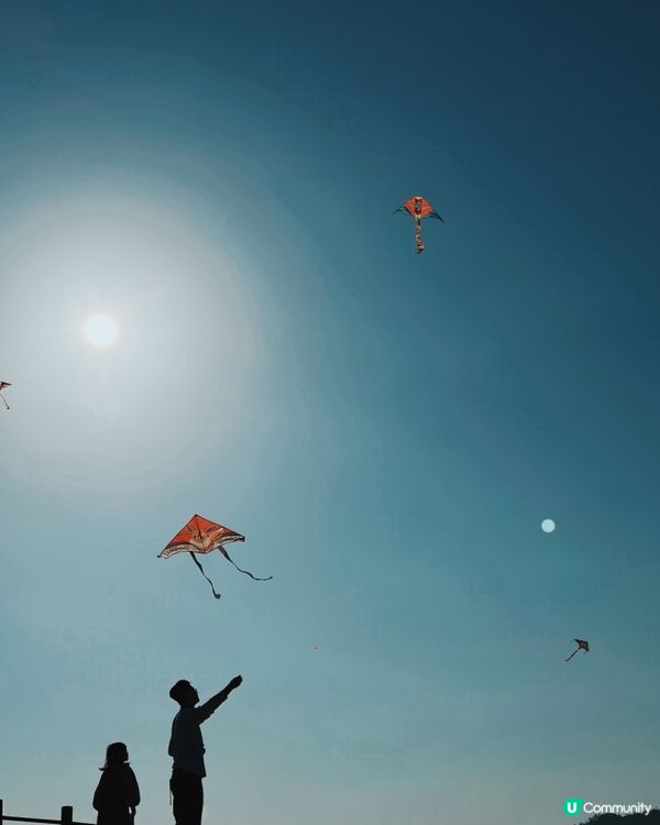 清水灣郊野公園放風箏：）