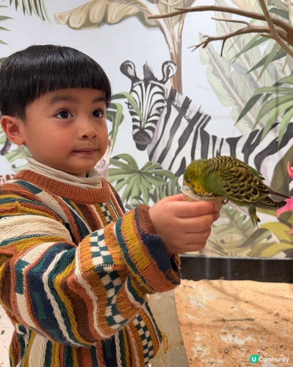 深圳商場動物園：）
