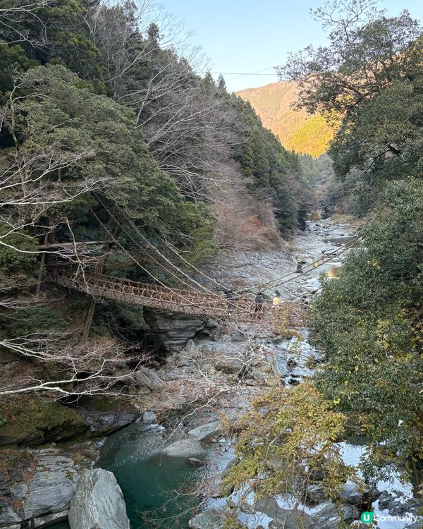 日本四國快閃4日3夜療癒之旅攻略🍀 🎌