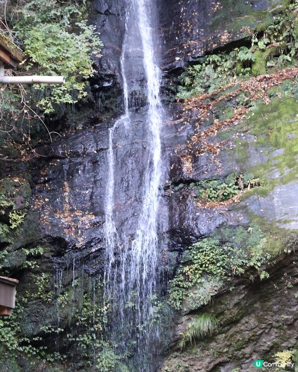 日本四國快閃4日3夜療癒之旅攻略🍀 🎌