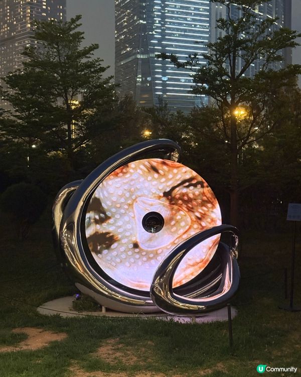 香港故宮夜打卡，穿越幻彩紫禁城！