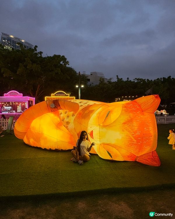 香港故宮夜打卡，穿越幻彩紫禁城！