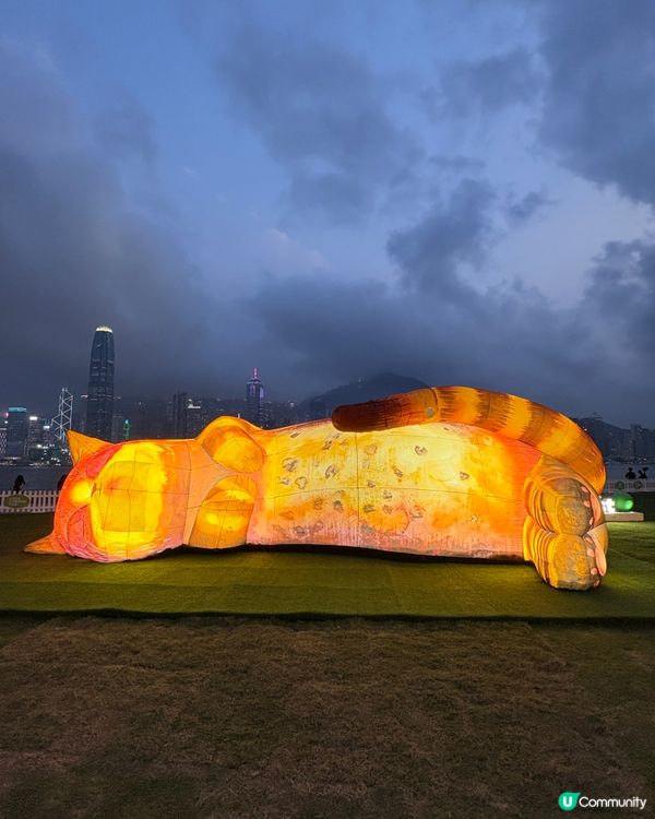 香港故宮夜打卡，穿越幻彩紫禁城！