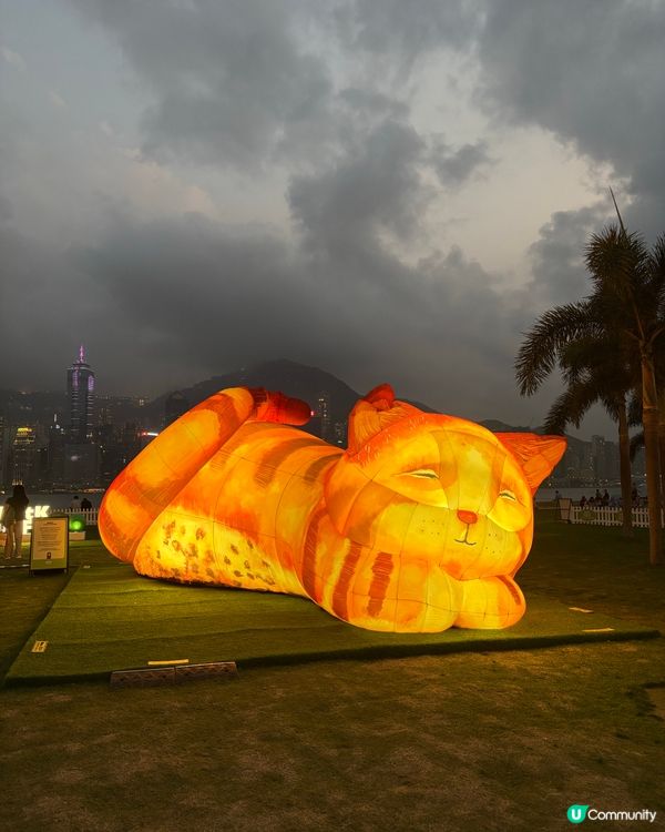 香港故宮夜打卡，穿越幻彩紫禁城！