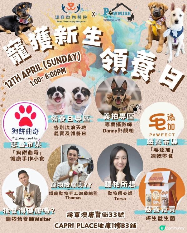 告別流浪！將軍澳4.12見！🐾🐈🐕