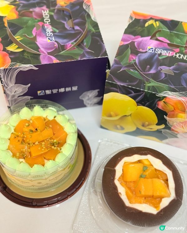 夏日芒果天堂！🥭聖安娜開餐！