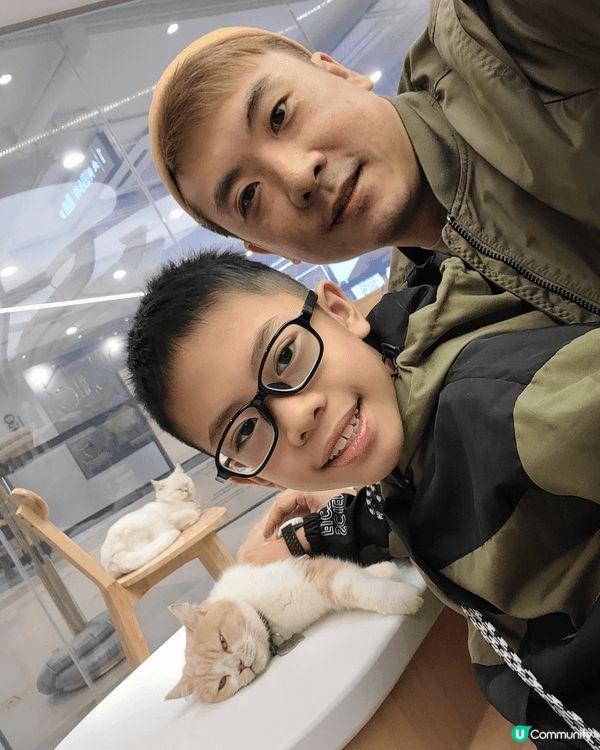 仔仔喜歡小動物 我哋一齊去貓cafe體驗同動物相處嘅感覺