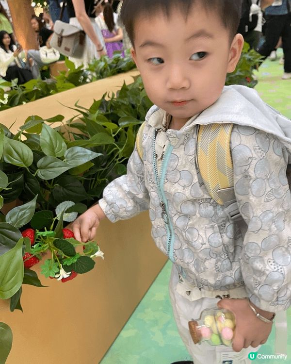 2年前沙田新城市廣場與 Duffy Family 超萌打卡影...