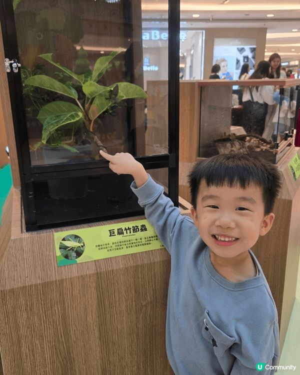 MCP Central 今個復活節，有得玩充氣彈床，仲可以近...