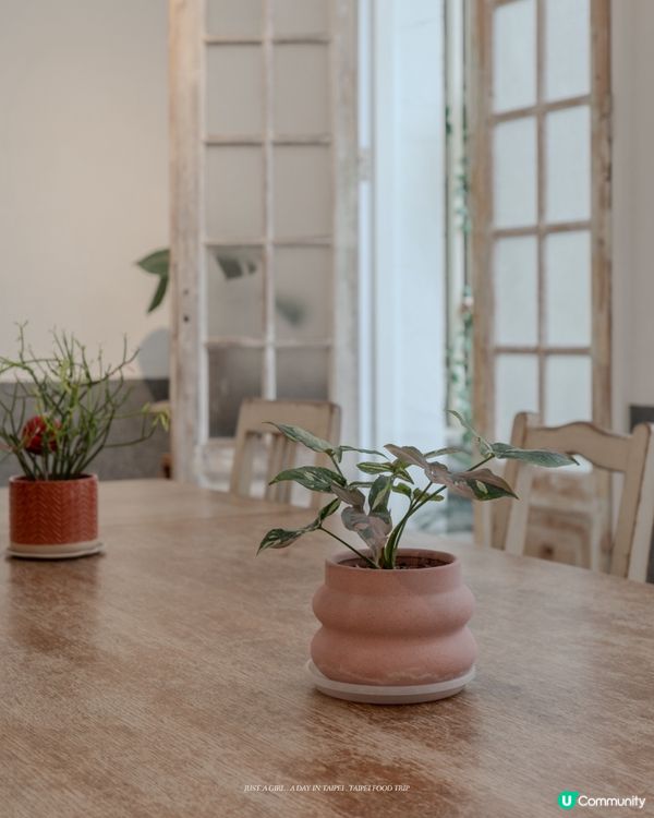 🌱 走進綠咖，感受生活裡的溫柔綠意