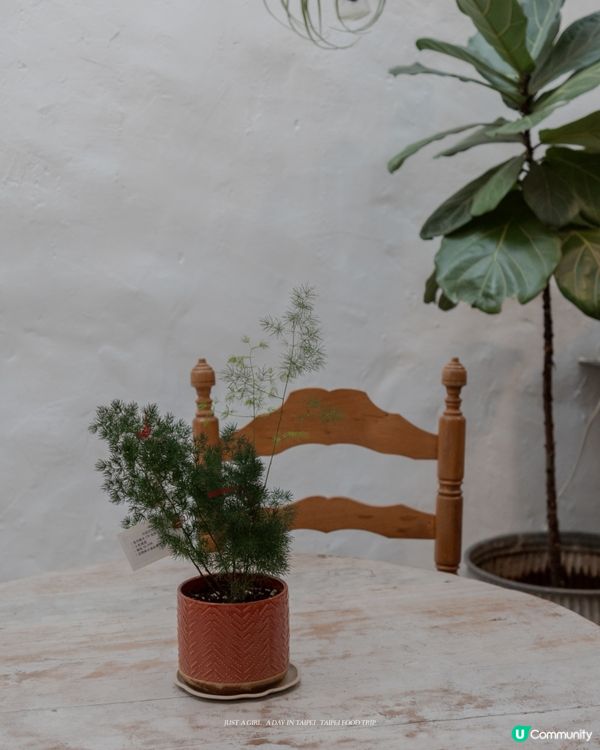 🌱 走進綠咖，感受生活裡的溫柔綠意