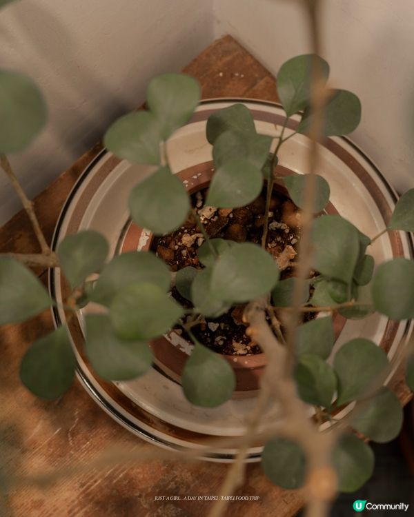 🌱 走進綠咖，感受生活裡的溫柔綠意