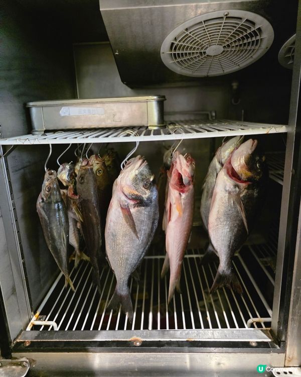 📍深圳必吃! 熟成迴轉壽司~ 鮨大虎壽司🍣！